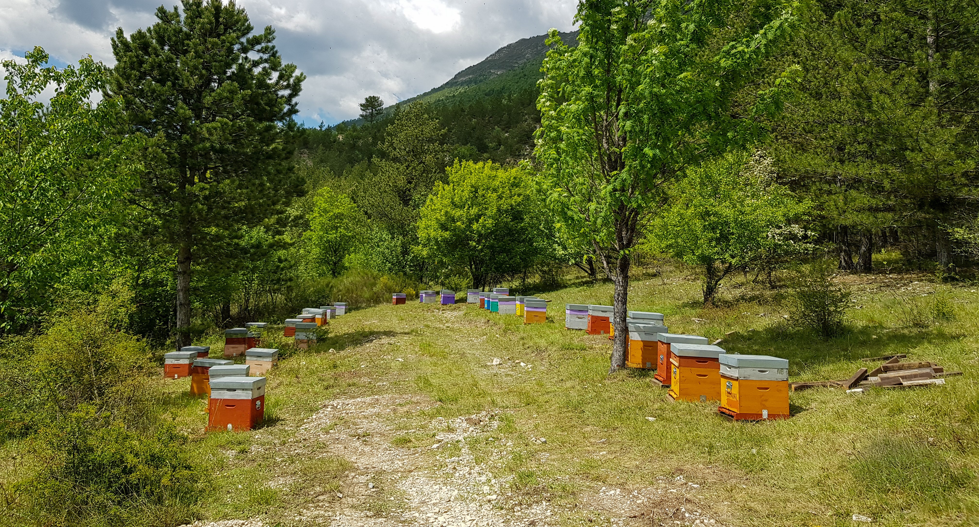 Le Rucher de la Cabane